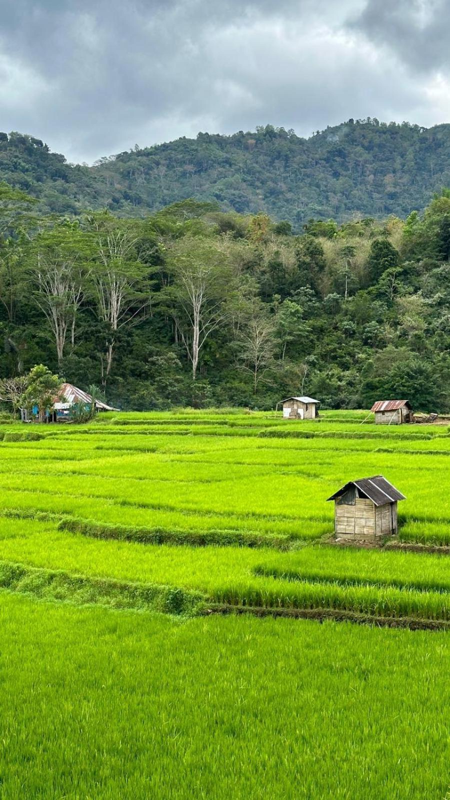 Petra Homestay Bangka Leda Ruteng Luaran gambar